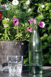 Wasser